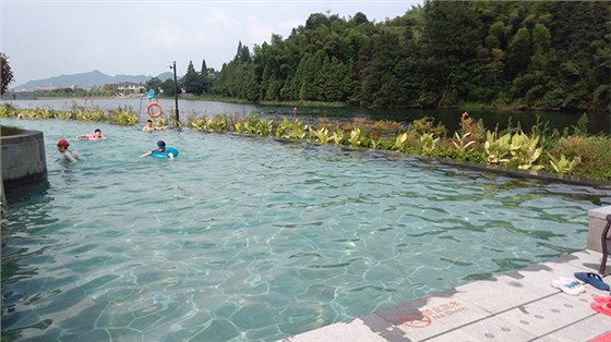 室外成年泳池实景