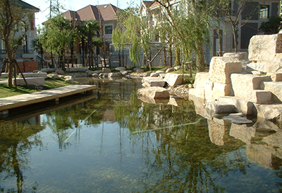 池（渔）塘水处理技术及施工