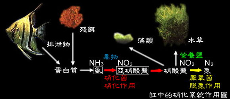 基本水处理技术原理