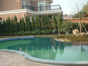 天曼的泳池施工团队实力很强大