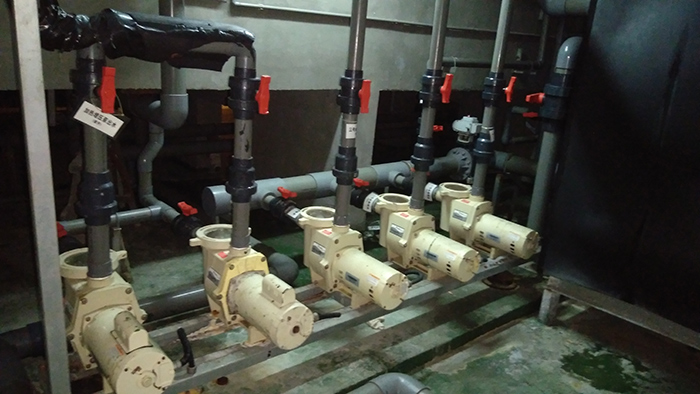 泳池设备之美国PENTAIR循环水泵