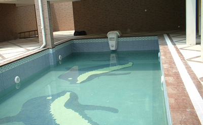 上海紫园14#豪宅泳池