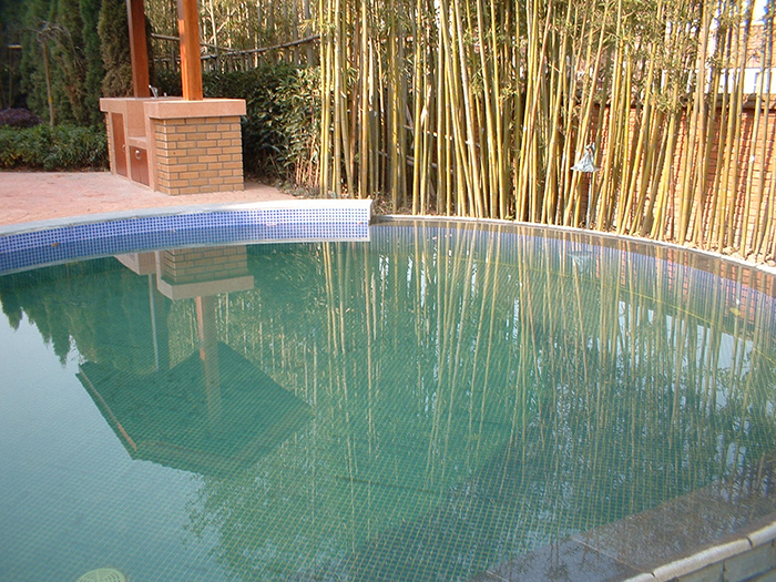 泳池水面与周围竹子倒影效果