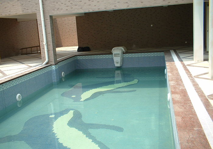 14#别墅一体化设备泳池