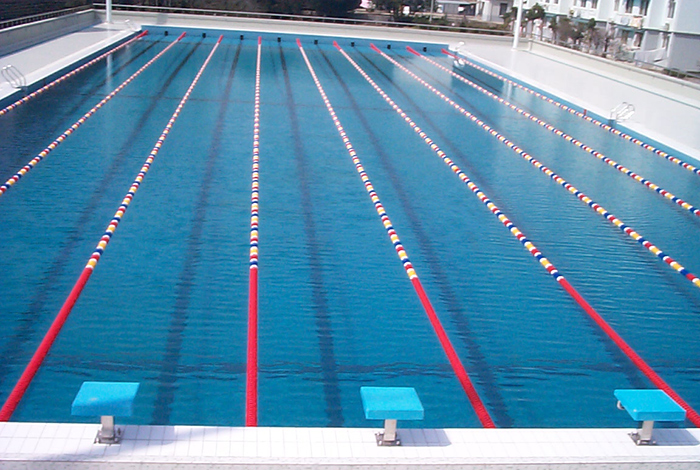 标准池正面